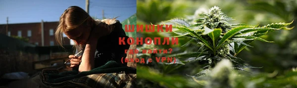 хмурый Вяземский